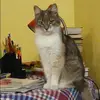 Отзыв от Венера Носкова